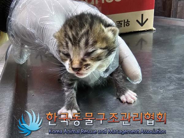 종료(자연사) 한국…